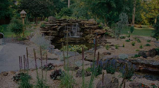 Springfield Water Gardens